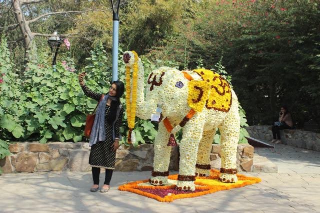 A visitor clicks a selfie with a flower animal at last year’s edition of the Garden Tourism Festival.