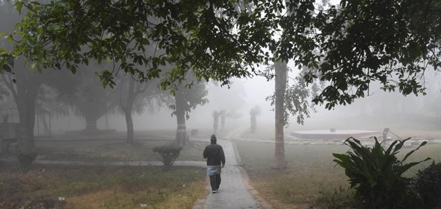 A bio diversity centre here will make Lucknow an eco-tourism hub. (Subhankar Chakraborty/HT Photo) A bio diversity centre here will make Lucknow an eco-tourism hub. (Subhankar Chakraborty/HT Photo)