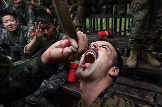 A US marine is fed the blood of a cobra during the Cobra Gold joint military exercise between US and Thai military in the coastal province of Chonburi on February 19, 2018. (AFP) A US marine is fed the blood of a cobra during the Cobra Gold joint military exercise between US and Thai military in the coastal province of Chonburi on February 19, 2018. (AFP)