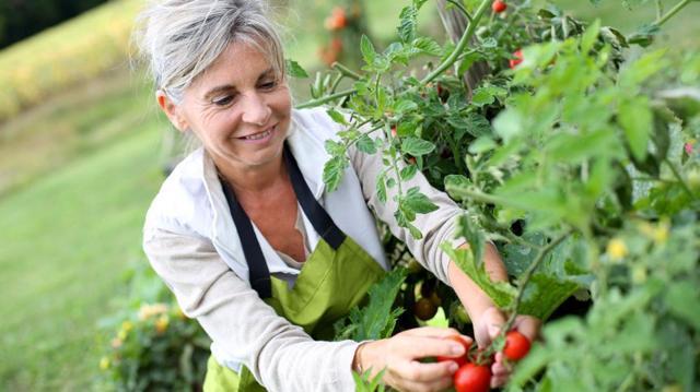 Pottering about in your garden can do wonders to your fitness levels. (Shutterstock) Pottering about in your garden can do wonders to your fitness levels. (Shutterstock)