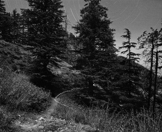 ‘Untitled’ from Dileep Prakash’s ‘Sleeping in the Forest’. (Courtesy Dileep Prakash / PHOTOINK) ‘Untitled’ from Dileep Prakash’s ‘Sleeping in the Forest’. (Courtesy Dileep Prakash / PHOTOINK)