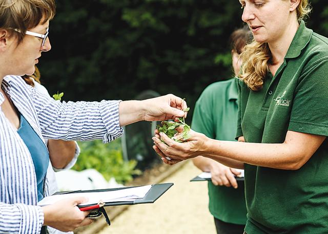 Spend a morning learning how to grow micro greens at the Belmond Le Manoir aux Quat’Saisons, Oxfordshire