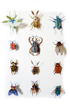 In the last six years, Mumbai artist Nibha Sikander, an alumnus from Vadodara’s MS University, has created 3D figures of more than 400 insects, moths and birds with coloured paper. In the last six years, Mumbai artist Nibha Sikander, an alumnus from Vadodara’s MS University, has created 3D figures of more than 400 insects, moths and birds with coloured paper.