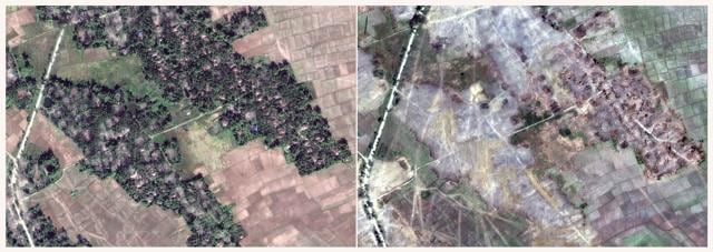 This combination of two satellite images provided by DigitalGlobe, Dec. 20, 2017, left; and Feb. 13, 2018, right; displaying the village of Myin Hlut, 25 kilometers (15 miles) southeast of Maungdaw, Rakhine state, Myanmar shows that predominantly Rohingya village and hamlets have been completely levelled by authorities in recent weeks, far more than previously reported. (AP) This combination of two satellite images provided by DigitalGlobe, Dec. 20, 2017, left; and Feb. 13, 2018, right; displaying the village of Myin Hlut, 25 kilometers (15 miles) southeast of Maungdaw, Rakhine state, Myanmar shows that predominantly Rohingya village and hamlets have been completely levelled by authorities in recent weeks, far more than previously reported. (AP)