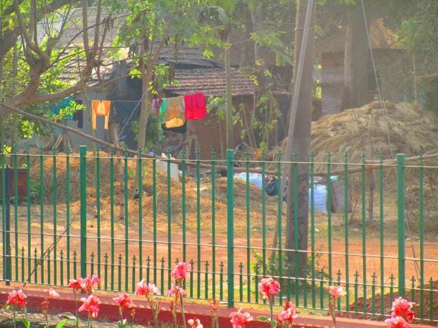 Despite prohibition of construction within 100 metres from the protected site, houses and eateries stand close to the boundary. (HT Photo)