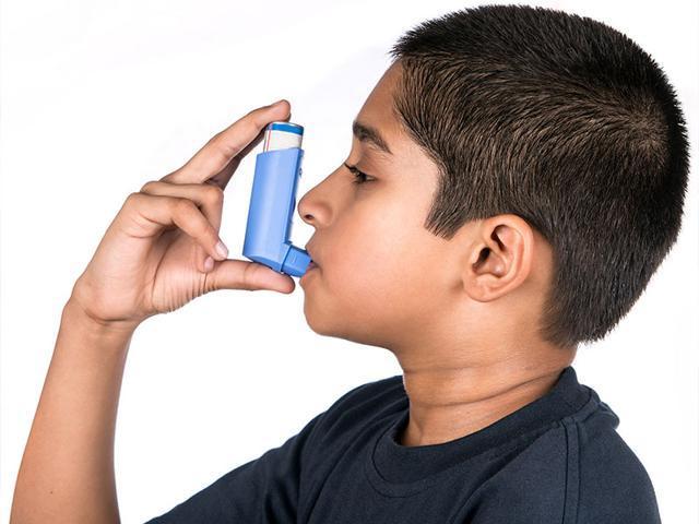 People with asthma persistently suffer from airway inflammation and constriction due to various irritants. (Shutterstock) People with asthma persistently suffer from airway inflammation and constriction due to various irritants. (Shutterstock)