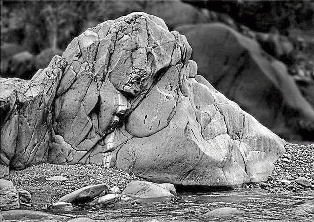 ‘Quietude’ on display at Punjab Kala Bhawan. (PHOTO: AMRITA) ‘Quietude’ on display at Punjab Kala Bhawan. (PHOTO: AMRITA)