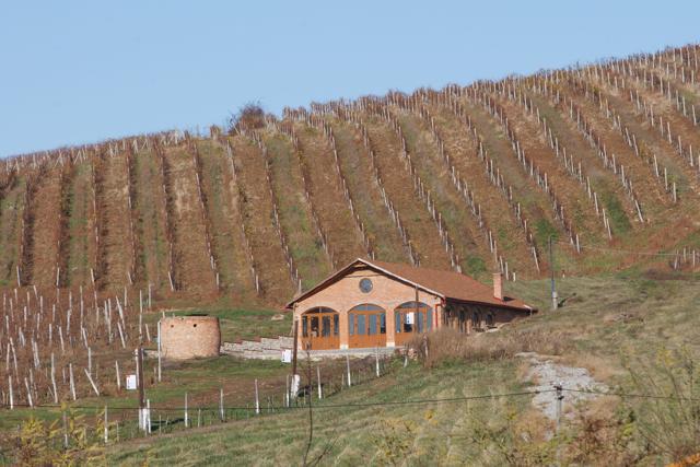 A view of the vineyard and cellar of 54-year-old winemaker Vasyl Nad. (AFP) A view of the vineyard and cellar of 54-year-old winemaker Vasyl Nad. (AFP)