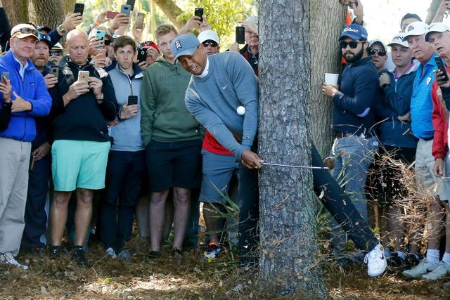 Tiger Woods plays his second shot on the fourth hole during the first round of the Valspar Championship at Innisbrook Resort Copperhead Course on March 8, 2018 in Palm Harbor, Florida. (AFP) Tiger Woods plays his second shot on the fourth hole during the first round of the Valspar Championship at Innisbrook Resort Copperhead Course on March 8, 2018 in Palm Harbor, Florida. (AFP)