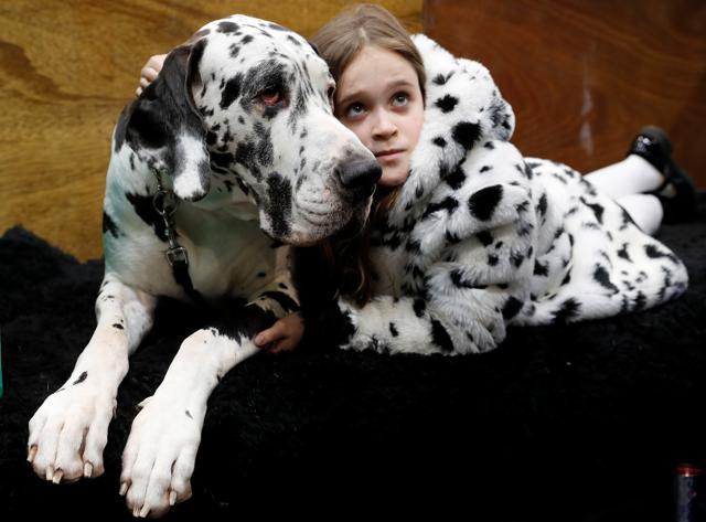 Claudia Kelleway lies with Ruby the Great Dane during the first day of the Crufts Dog Show. (REUTERS) Claudia Kelleway lies with Ruby the Great Dane during the first day of the Crufts Dog Show. (REUTERS)