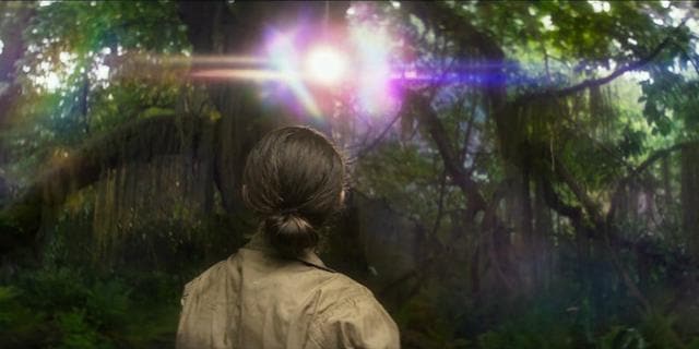 Lens flares have textual import in Annihilation. (Netflix) Lens flares have textual import in Annihilation. (Netflix)