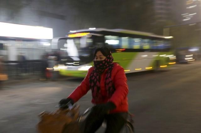 A woman wearing a mask rides a bicycle amid heavy smog in Beijing on November 28, 2015. (Reuters) A woman wearing a mask rides a bicycle amid heavy smog in Beijing on November 28, 2015. (Reuters)