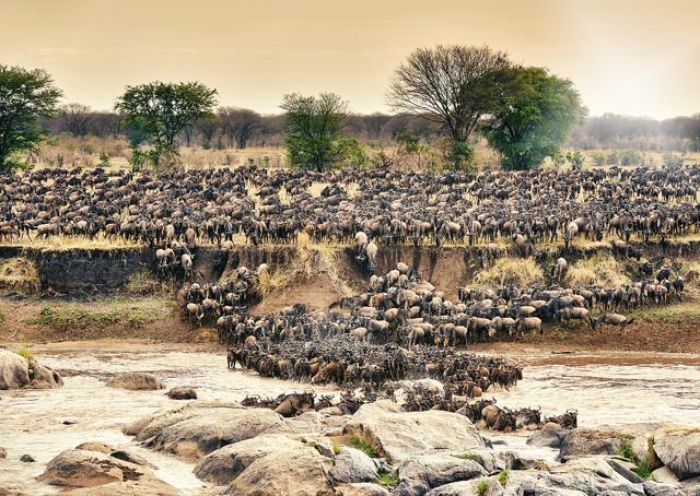 The Ngorongoro crater is a safari park in itself, and though it is small, it has a high concentration of diverse animals (GettyImages) The Ngorongoro crater is a safari park in itself, and though it is small, it has a high concentration of diverse animals (GettyImages)