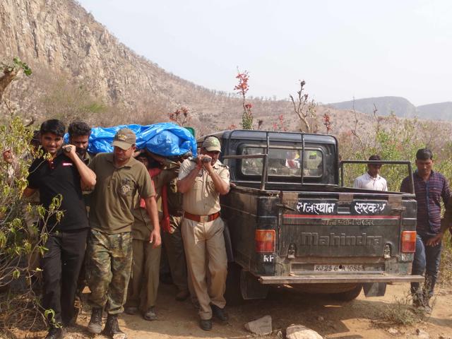 Forest department officials carry the dead tiger. (HT Photo) Forest department officials carry the dead tiger. (HT Photo)