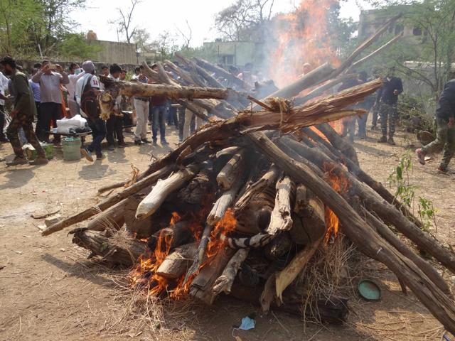 The tiger being cremated by forest officials. (HT Photo) The tiger being cremated by forest officials. (HT Photo)