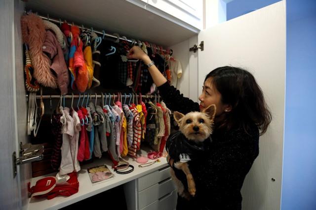 Zoe Man carrying her dog Fun Fun checks a closet for her pet dogs in Hong Kong. (REUTERS)