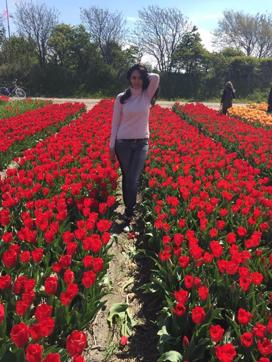 Actor Mallika Sherawat in the tulip fields of Amsterdam.
