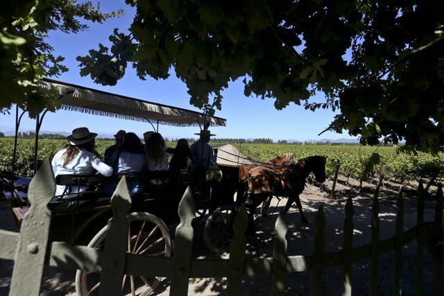 Tourists visit Viu Manent vineyard by horse-drawn carriage in Colchagua, Chile. (AP Photo/Esteban Felix) Tourists visit Viu Manent vineyard by horse-drawn carriage in Colchagua, Chile. (AP Photo/Esteban Felix)