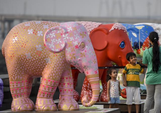 When 101 elephant sculptures painted on by leading artists and designers were put on display , Ruth Ganesh, one of the organisers, heard even children start to use the term ‘elephant corridors’. (Kunal Patil / HT Photo) When 101 elephant sculptures painted on by leading artists and designers were put on display , Ruth Ganesh, one of the organisers, heard even children start to use the term ‘elephant corridors’. (Kunal Patil / HT Photo)