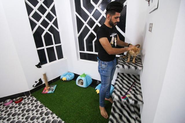 Taher tends to cats. (AFP) Taher tends to cats. (AFP)