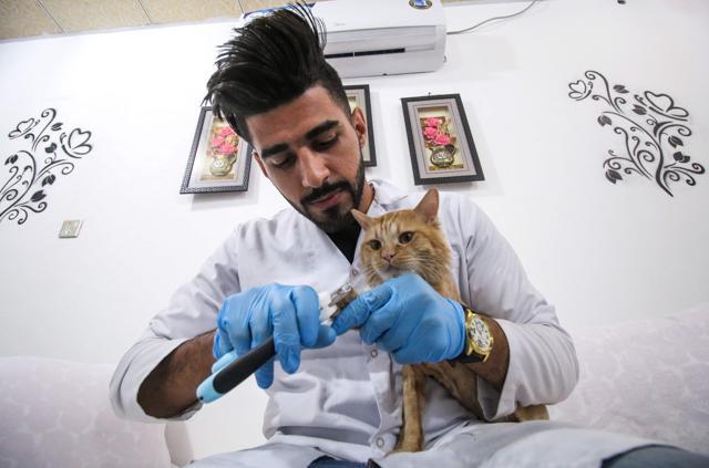 Ahmad Taher clips the claws of a cat staying for short periods at the cat hotel. (AFP) Ahmad Taher clips the claws of a cat staying for short periods at the cat hotel. (AFP)