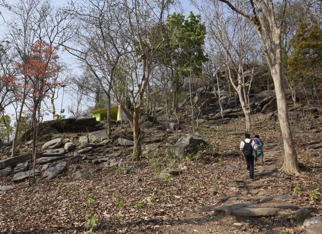 Local hoteliers say people who come here for the hills, forts and forests are starting to ask if they can go tiger-spotting too. ‘We read about it in the newspapers and thought why not at least try,’ says Saikat Das, a biker on holiday here with friends. (Vipin Kumar / HT Photo)