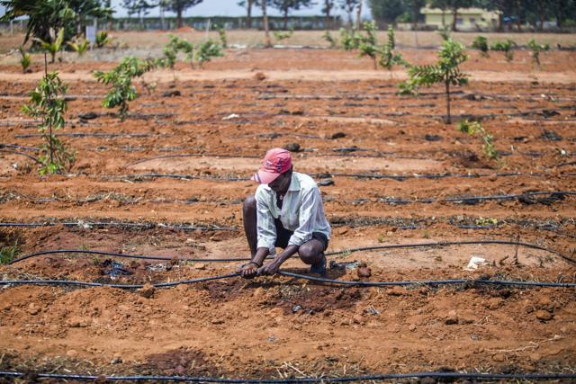 Over one-fifth of rural agricultural households have income less than the national poverty line, while agriculture’s share in rural employment is a whopping 64%. (Prashanth Vishwanathan/Bloomberg)