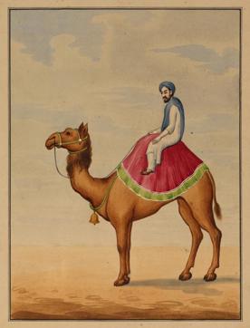 Camel Rider, attributable to Bani Lal, from Patna, 1880.