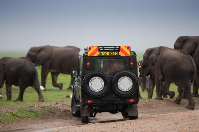 Nairobi National Park. (Shutterstock) Nairobi National Park. (Shutterstock)