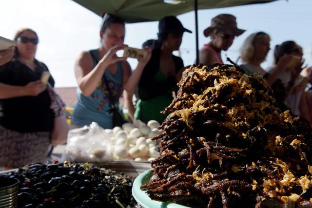 Tourists taking pictures of fried tarantulas on sale at a stall in Skun town in Kampong Cham province. (AFP) Tourists taking pictures of fried tarantulas on sale at a stall in Skun town in Kampong Cham province. (AFP)