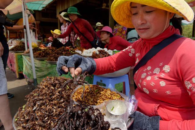A Cambodian vendor holding a fried tarantula at Skun town in Kampong Cham province. (AFP) A Cambodian vendor holding a fried tarantula at Skun town in Kampong Cham province. (AFP)