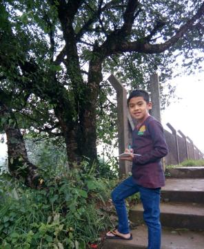 In Meghalaya, 10-year-old Rudolf Nonglait is monitoring a Himalayan cherry tree as part of a nation-wide study by SeasonWatch. In Meghalaya, 10-year-old Rudolf Nonglait is monitoring a Himalayan cherry tree as part of a nation-wide study by SeasonWatch.