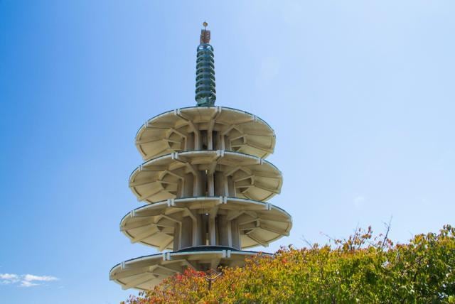 Look for the bright red banners adorned with cherry blossoms and the Peace Pagoda which proudly marks the Japantown area. (Shutterstock)