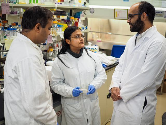 Professor Vikramaditya Yadav in his lab at the University of British Columbia, with fellow researchers in the team that has developed a new system for delivering glaucoma medication to patients. (Clare Kiernan/UBC) Professor Vikramaditya Yadav in his lab at the University of British Columbia, with fellow researchers in the team that has developed a new system for delivering glaucoma medication to patients. (Clare Kiernan/UBC)