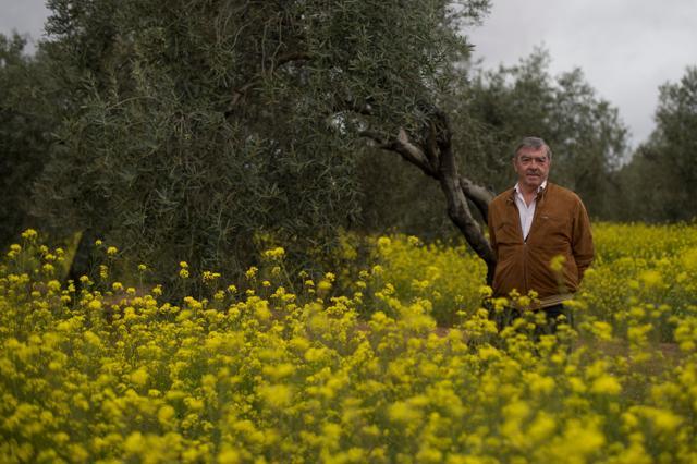 Farmer Juan de Dios Segura poses at the "Agro Sevilla" olive factory in La Roda de Andalucia on April 12, 2018. (AFP) Farmer Juan de Dios Segura poses at the "Agro Sevilla" olive factory in La Roda de Andalucia on April 12, 2018. (AFP)