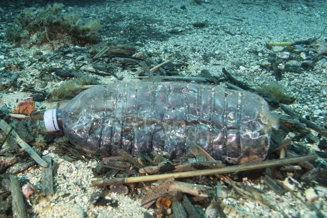In this file photo taken on May 1, 2017 shows a discarded plastic bottle in the Port-Cros natural park. (AFP File Photo) In this file photo taken on May 1, 2017 shows a discarded plastic bottle in the Port-Cros natural park. (AFP File Photo)