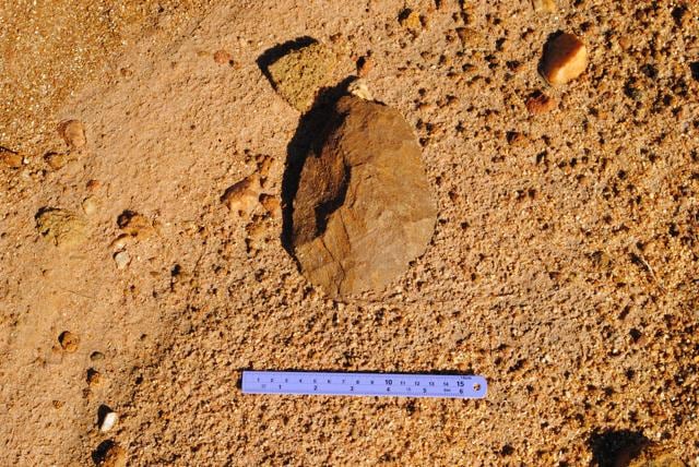 A Paleolithic hand axe found in western Odisha.