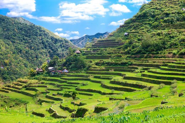 The landscape of the Banaue Rice Terraces, more than 200 miles north of Manila. (Shutterstock)