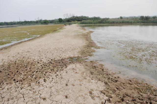 Against the needed depth of 10 feet, the Sukhna had shrunk to a mere 1.75 feet in May last year. (HT File)