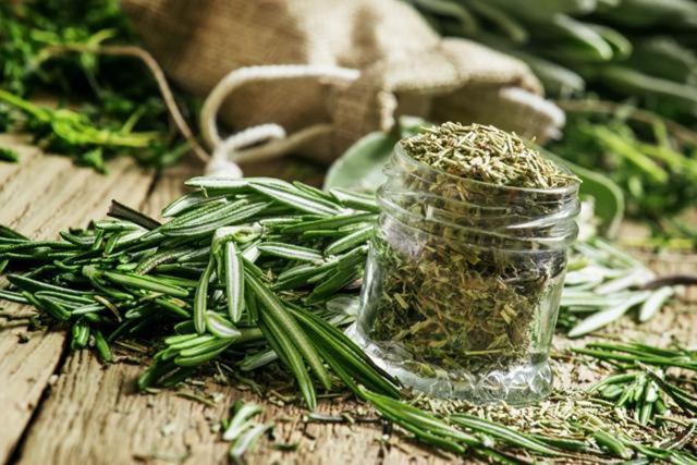 Rosemary can be used in whole wheat pasta, salads or soups. (Shutterstock) Rosemary can be used in whole wheat pasta, salads or soups. (Shutterstock)
