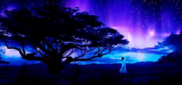 The landscape of the scene where T’challa meets his dad in the ancestral plane in Black Panther looks very similar to Rafiki’s Ancient Tree in Lion King The landscape of the scene where T’challa meets his dad in the ancestral plane in Black Panther looks very similar to Rafiki’s Ancient Tree in Lion King
