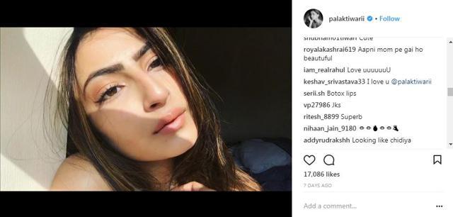 A troll’s comment on Palak Tiwari’s post.