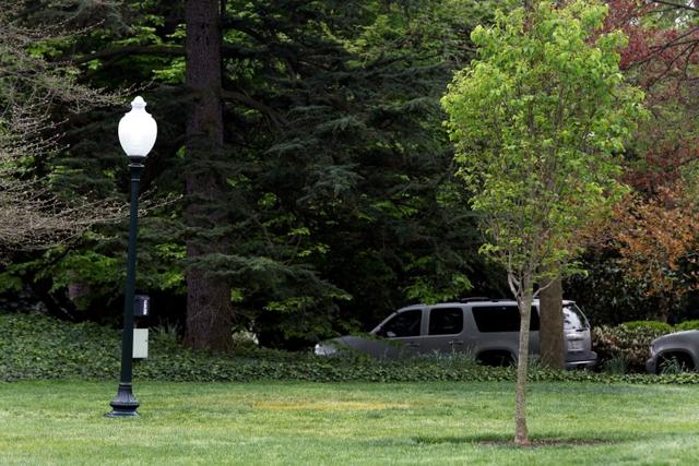 A yellow spot is seen where the tree planted by French President Emmanuel Macron and US President Donald Trump on April 23 stood on the South Lawn of the White House in Washington, US, April 28, 2018. (REUTERS)