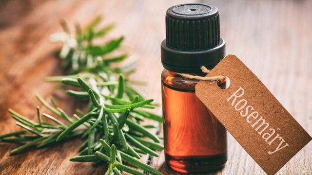 Astringent properties of rosemary oil cleanse, hydrate and rejuvenate skin, making it firm and gorgeous. (Shutterstock) Astringent properties of rosemary oil cleanse, hydrate and rejuvenate skin, making it firm and gorgeous. (Shutterstock)