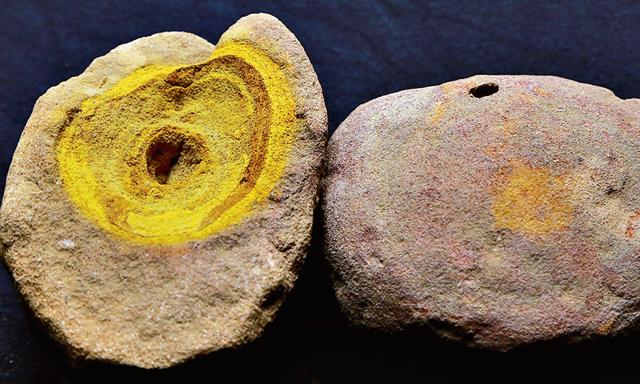Dinosaur eggs that are part of Kaushik’s collection. (Amal KS/HT PHOTO)