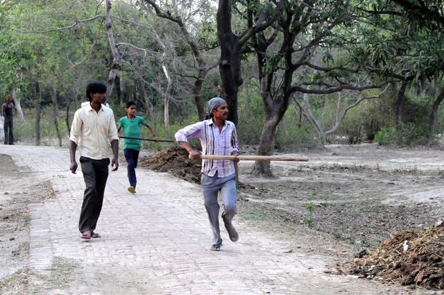 Villagers equipped with rods and canes have formed multiple groups and carried out combing on the intervening night of Tuesday and Wednesday, during which they beat up four dogs to death (HT Photo) Villagers equipped with rods and canes have formed multiple groups and carried out combing on the intervening night of Tuesday and Wednesday, during which they beat up four dogs to death (HT Photo)