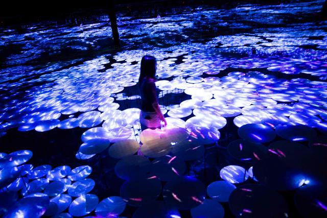 A digital installation fish filled room, at Mori Building Digital Art Museum in Tokyo. (AFP) A digital installation fish filled room, at Mori Building Digital Art Museum in Tokyo. (AFP)