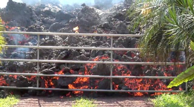 Lava advances towards a metal barrier in Puna, Hawaii, U.S. (REUTERS) Lava advances towards a metal barrier in Puna, Hawaii, U.S. (REUTERS)