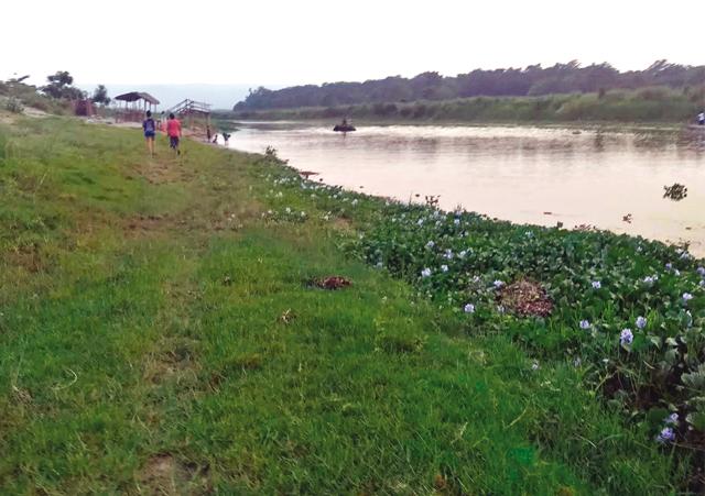 In Chitwan, the tranquil Rapti river is a sight for sore eyes (Shilpa Kori) In Chitwan, the tranquil Rapti river is a sight for sore eyes (Shilpa Kori)