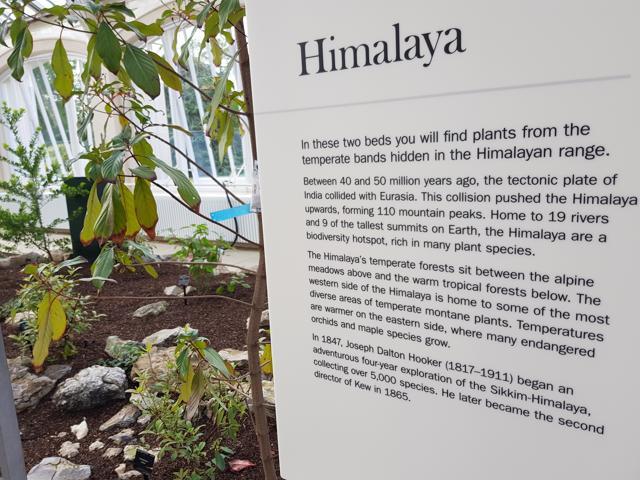 Kew Gardens has several links with India, including during the colonial era and more recently with the Indian Council of Agricultural Research. (HT Photo)
